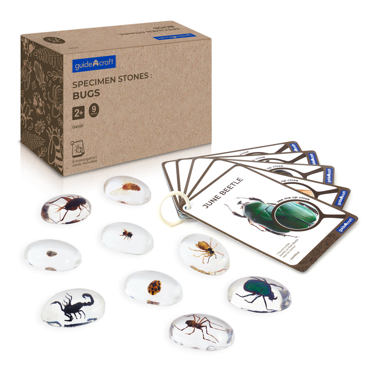 Guidecraft Specimen Stones: Bugs