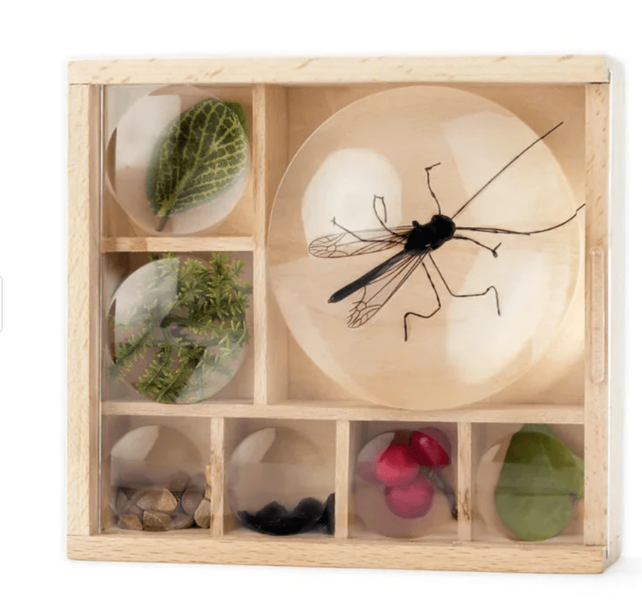 Butterfly and Bug Themed Set - Little Whispers