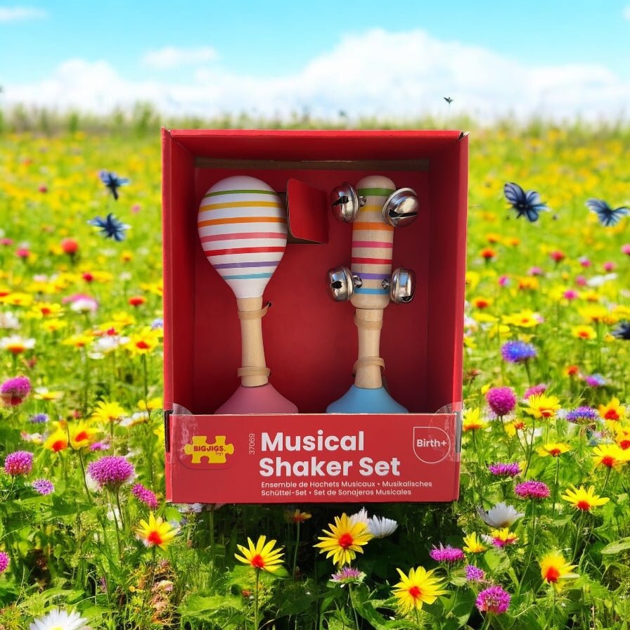 Bigjigs Musical Shakers Set - Little Whispers