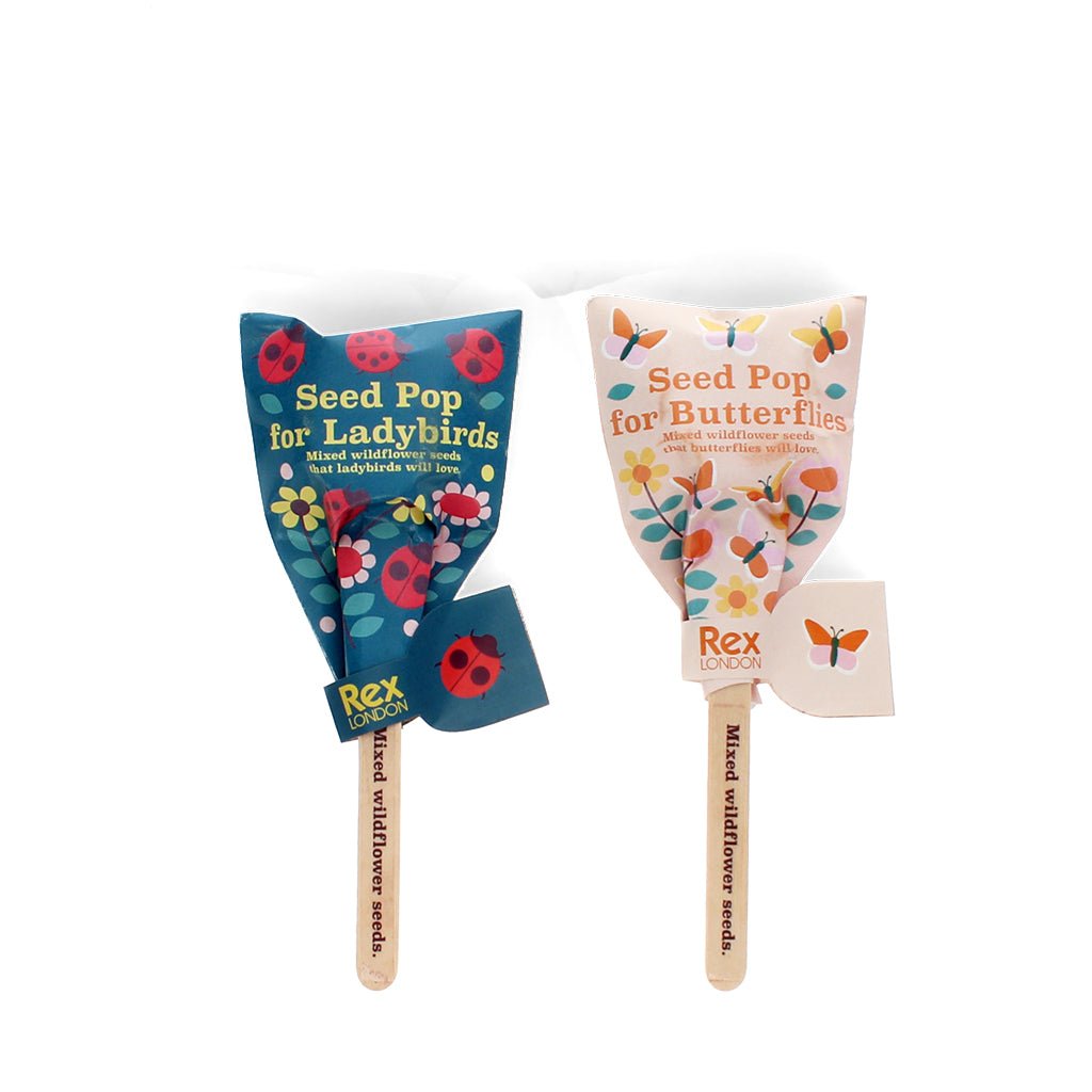 Wildflower Seed Popsicles - Wildflower Seed Pops - Little Whispers