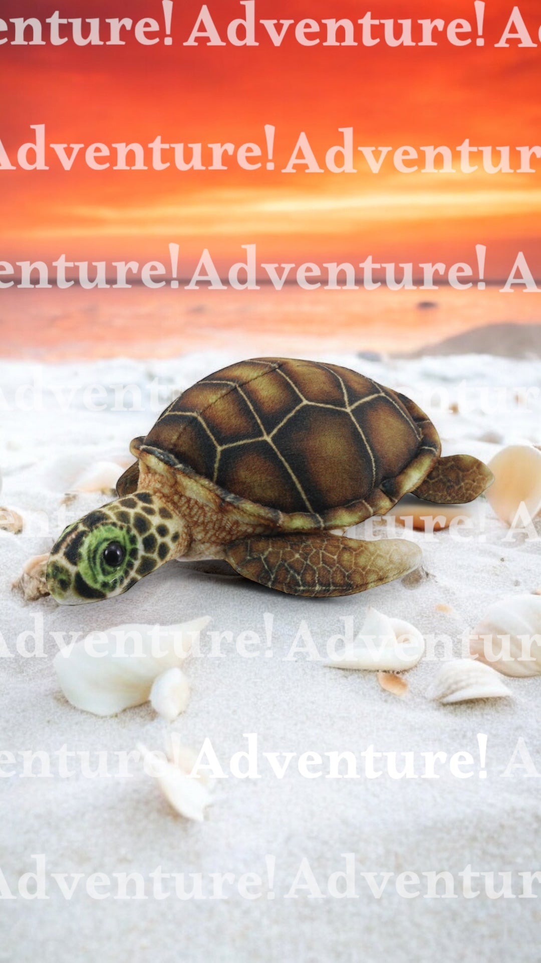 PRE - ORDER: Little Creatures – Turtle Finger Puppet - Little Whispers