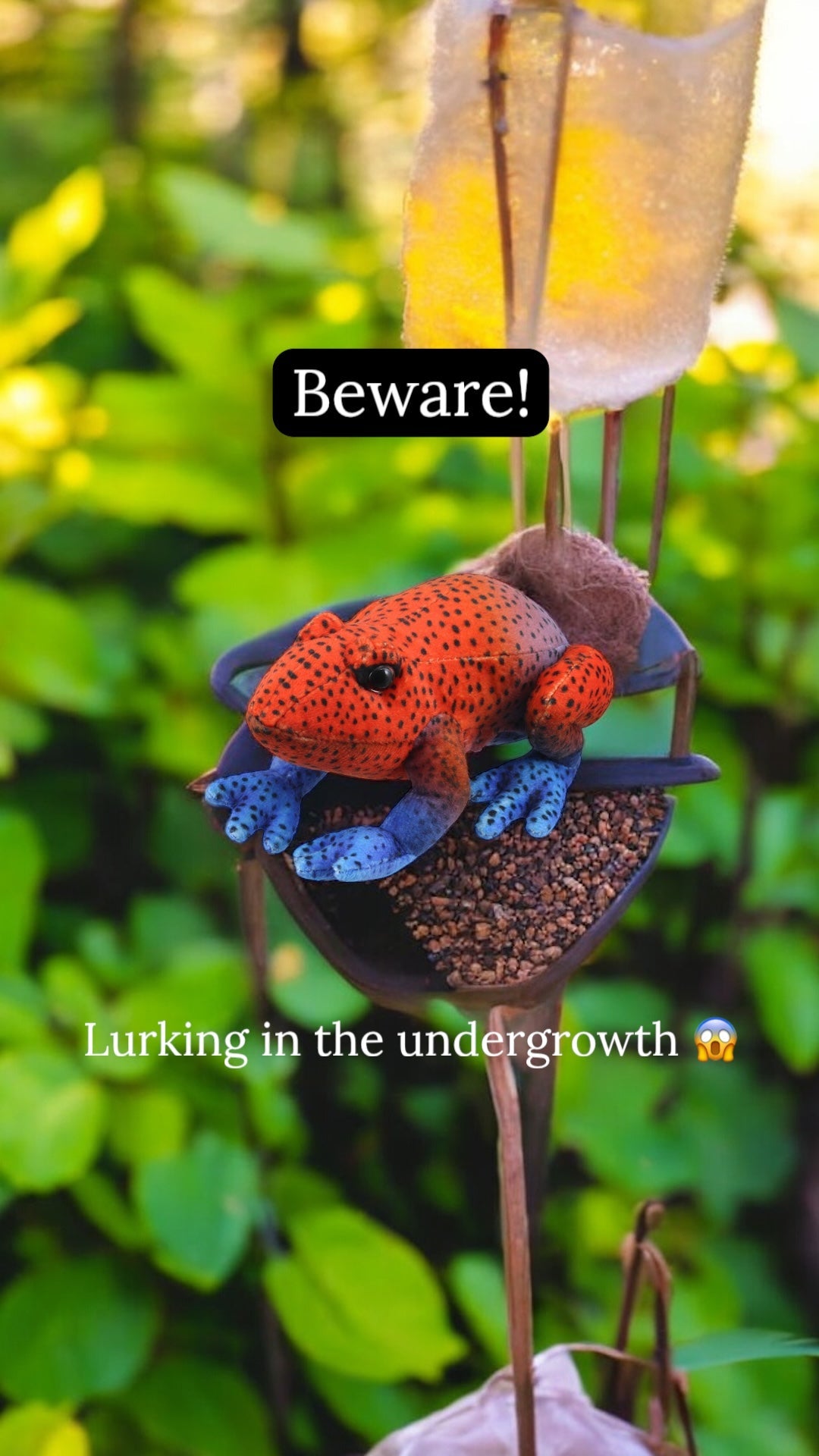 PRE - ORDER: Little Creatures – Red Frog Finger Puppet - Little Whispers