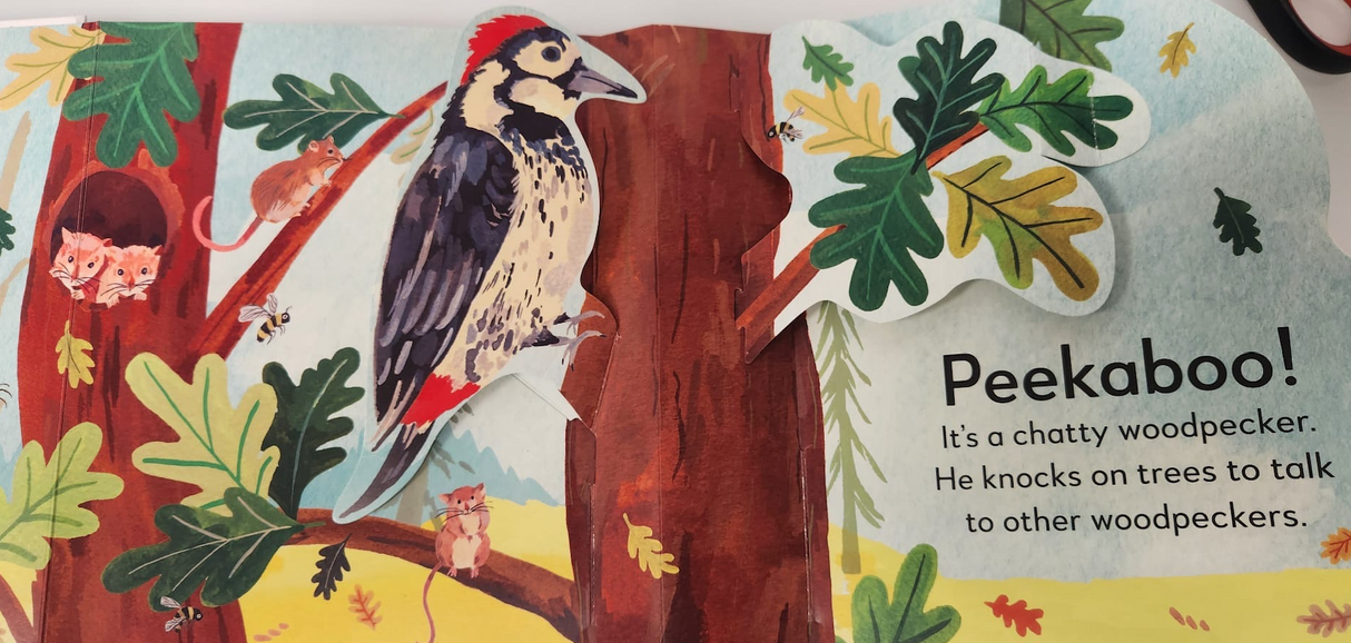 Pop-Up Peekaboo Forest Board Book