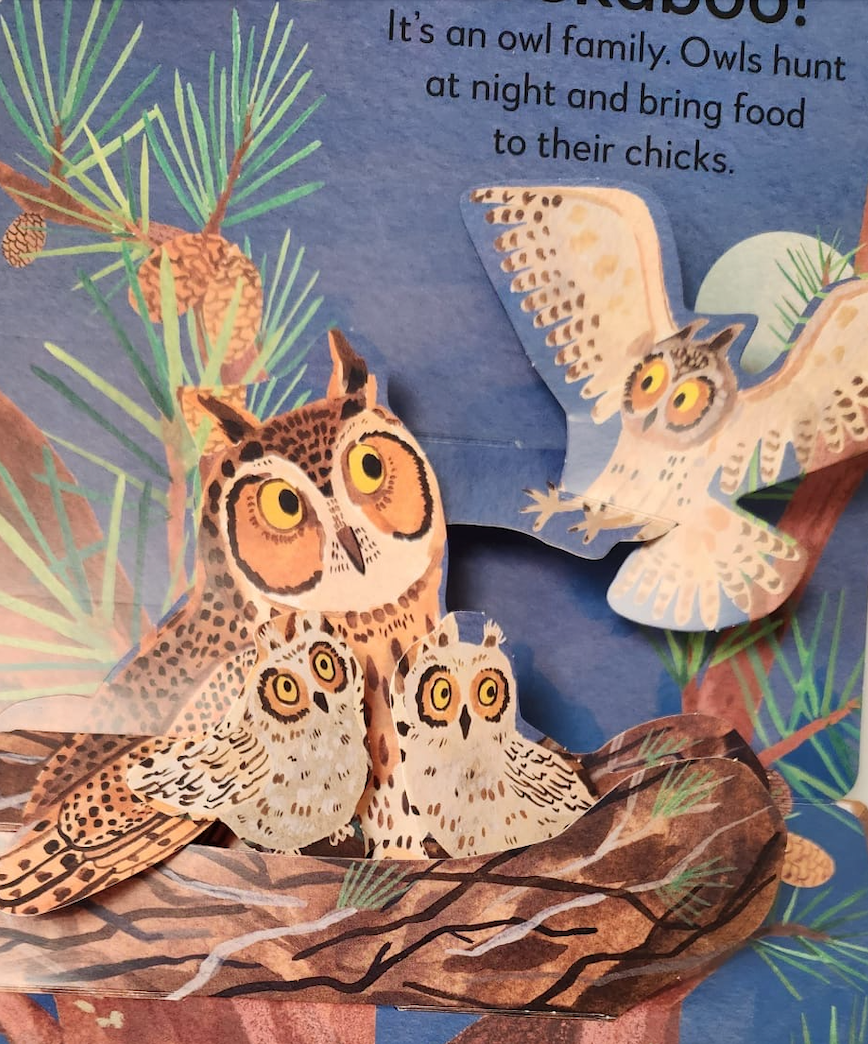 Pop-Up Peekaboo Forest Board Book