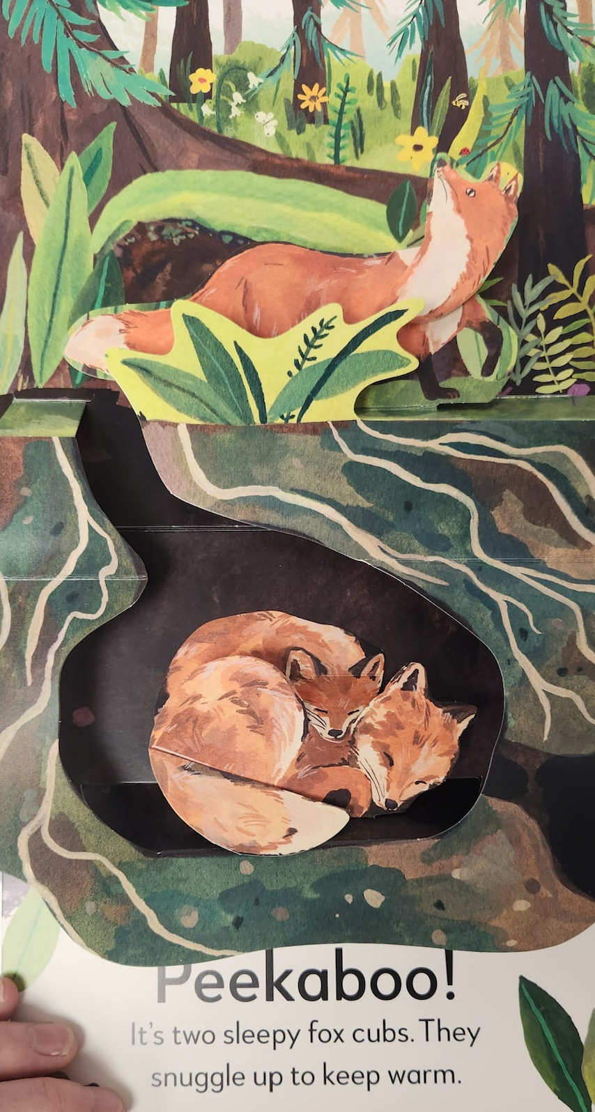 Pop-Up Peekaboo Forest Board Book