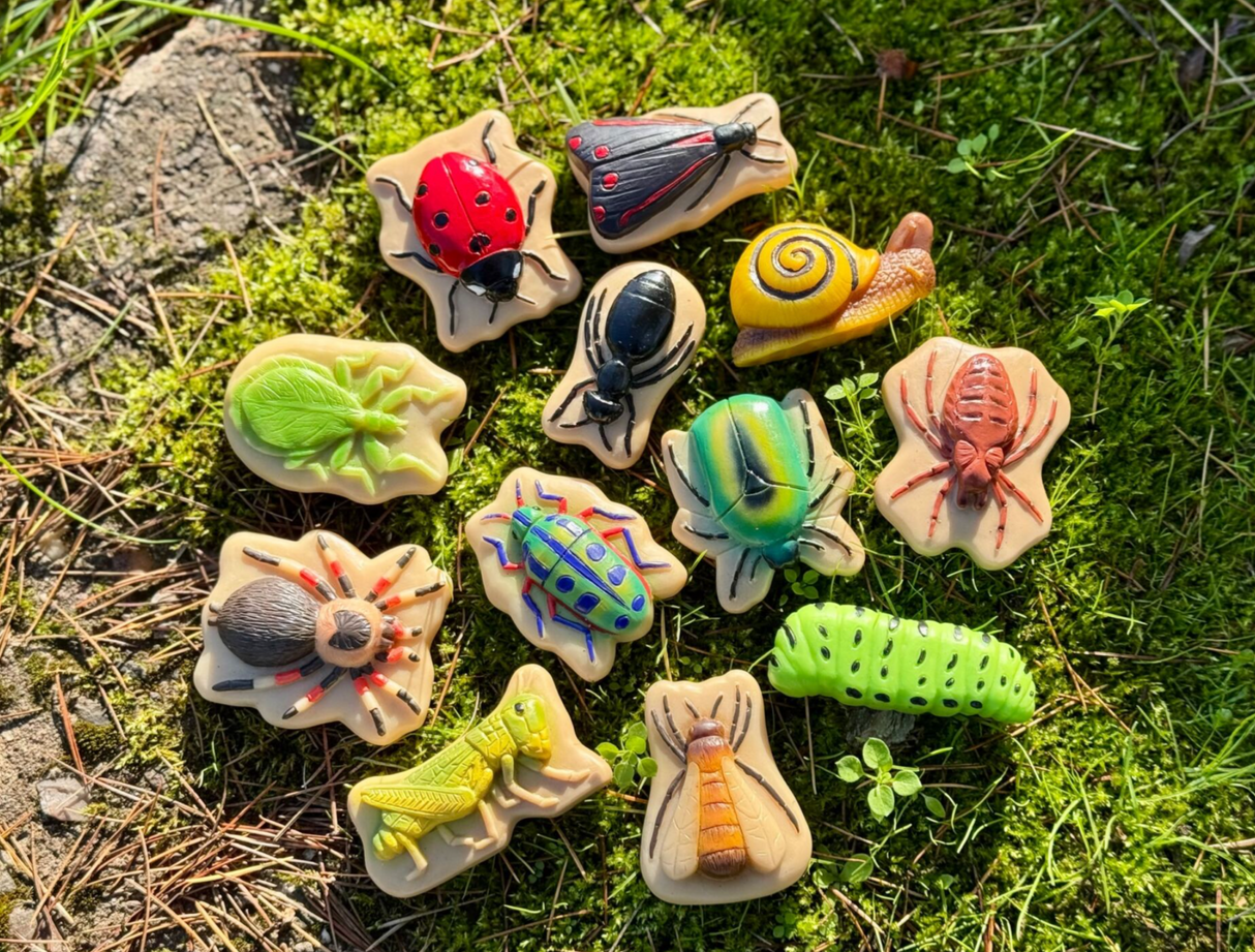 Yellow Door Bugs Sensory Play Stones on grass