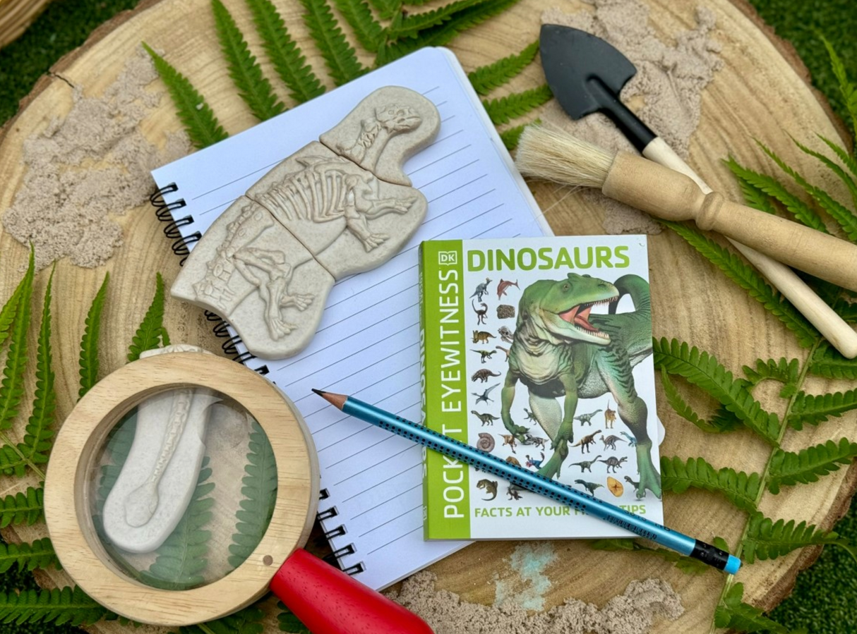 Dig & Discover – Ankylosaurus & Tyrannosaurus rex