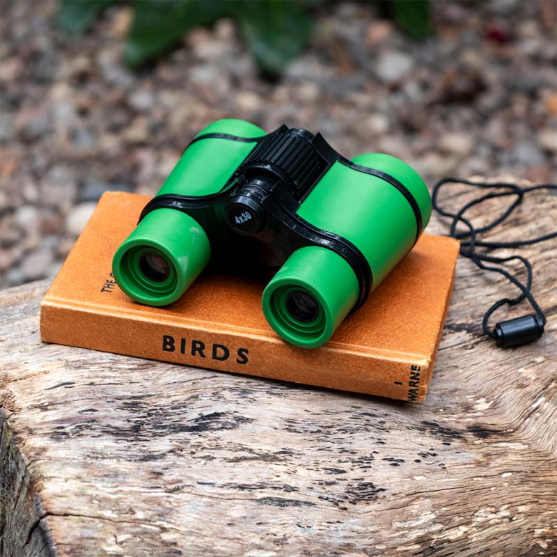 Green binoculars on a book titled 'Birds' on a wooden surface