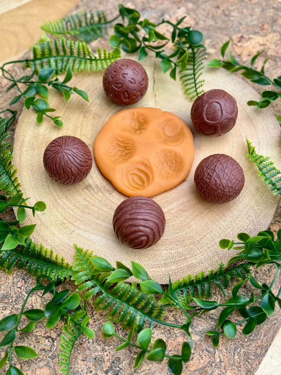 Yellow Door Roll Around – Wild Animals