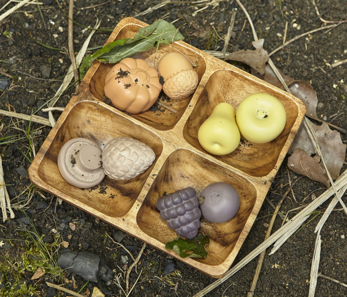 Feast of Nature Sensory Play Set YD1083 - Little Whispers