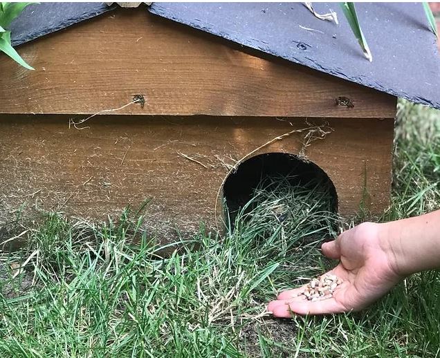 Nature Nurture Bird and Hedgehog Food Kit - Little Whispers