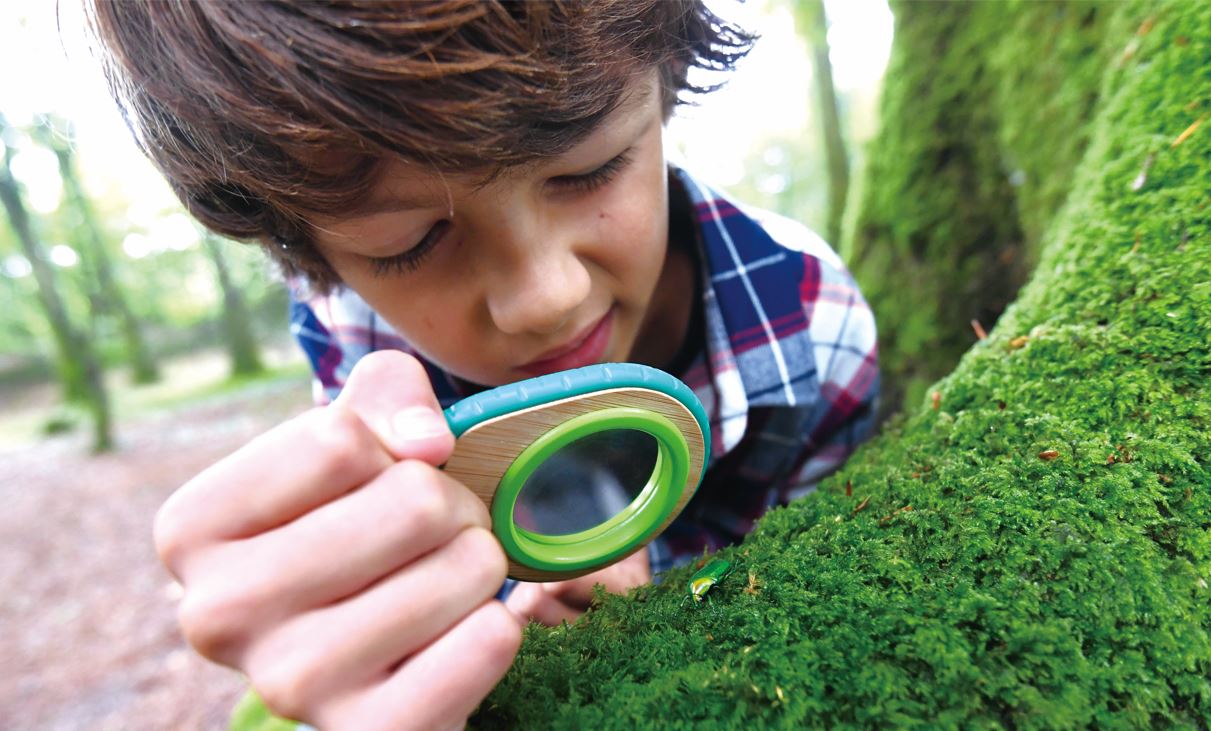 Hape Nature Detective Set - Little Whispers