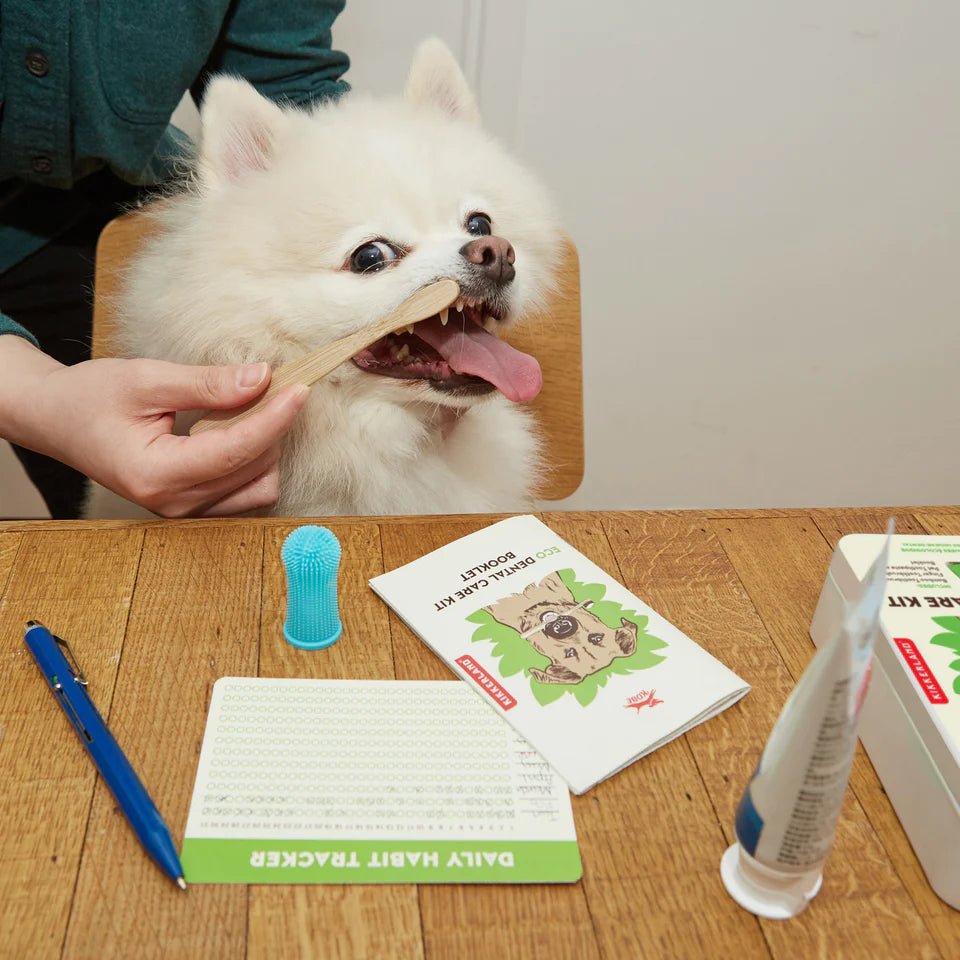 Kobe Dog Eco Dental Care Kit - Little Whispers