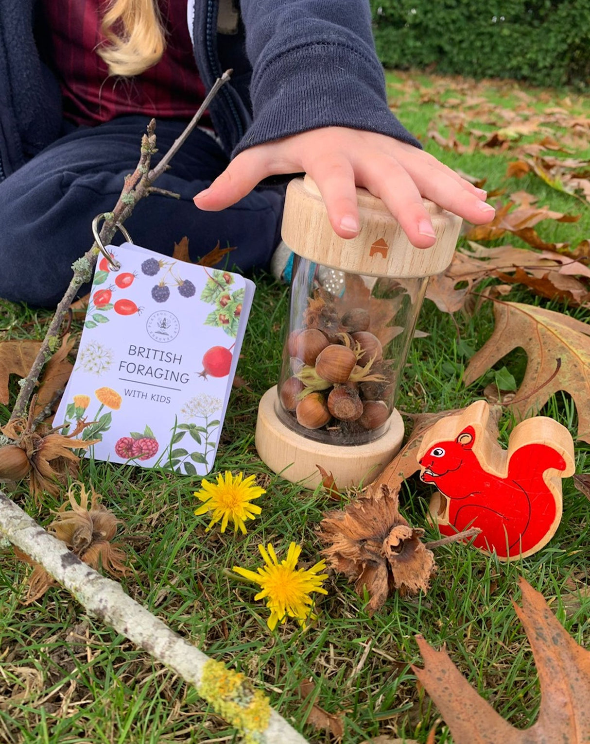 Playful Little Readers British Foraging flashcards - Little Whispers