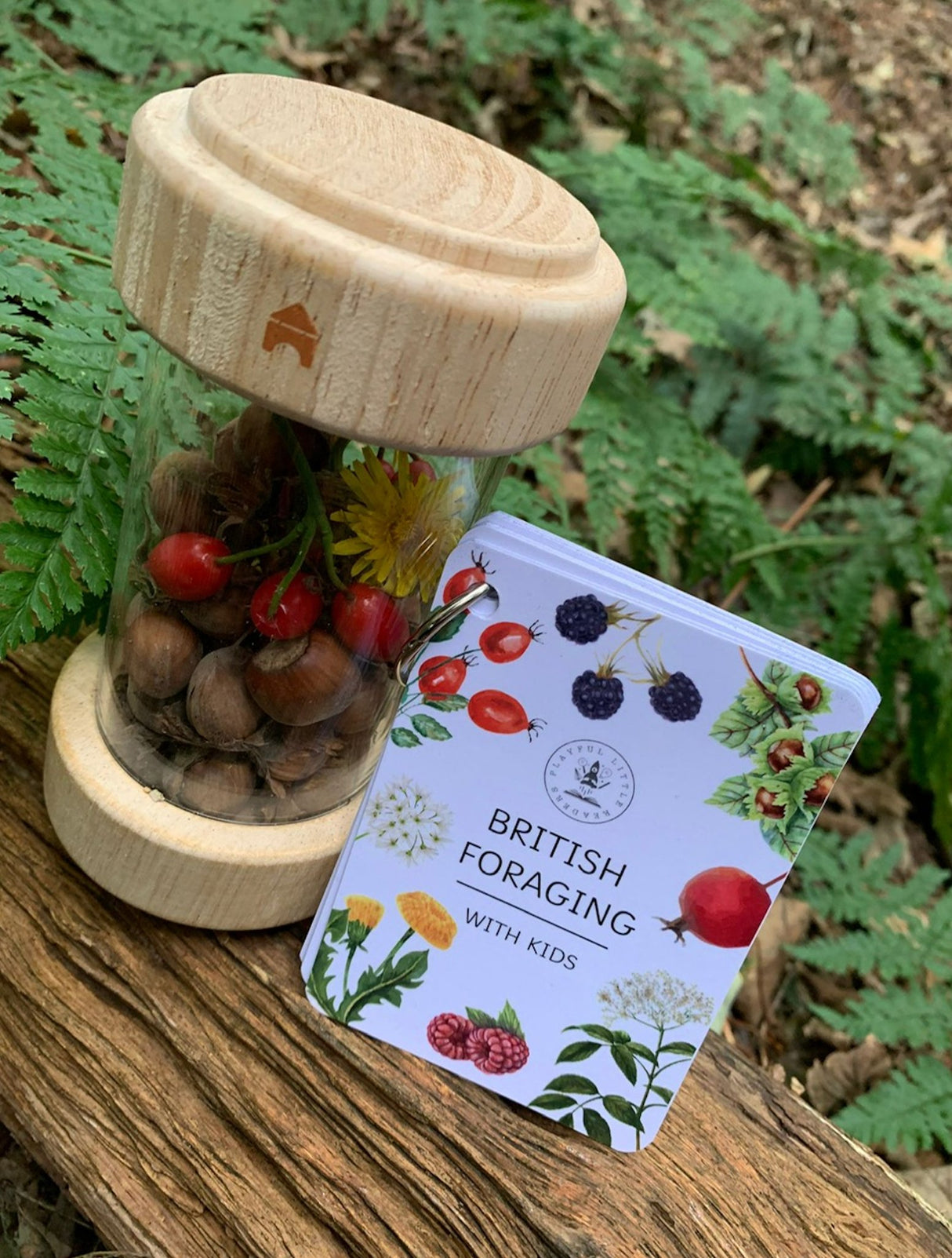 Playful Little Readers British Foraging flashcards - Little Whispers