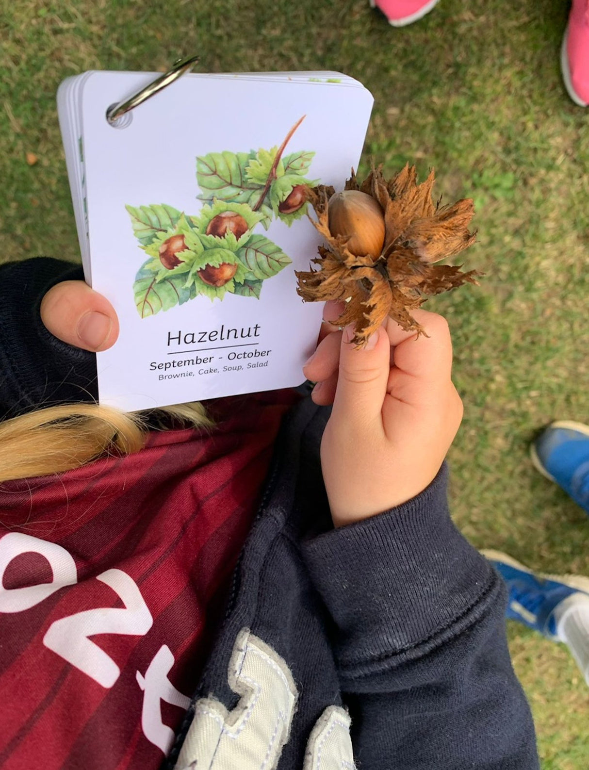 Playful Little Readers British Foraging flashcards - Little Whispers