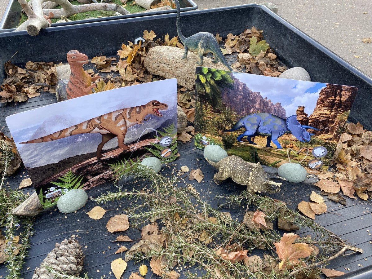 Yellow Door Prehistoric Teeth Explore and Discover Activity Cards (16) - Little Whispers