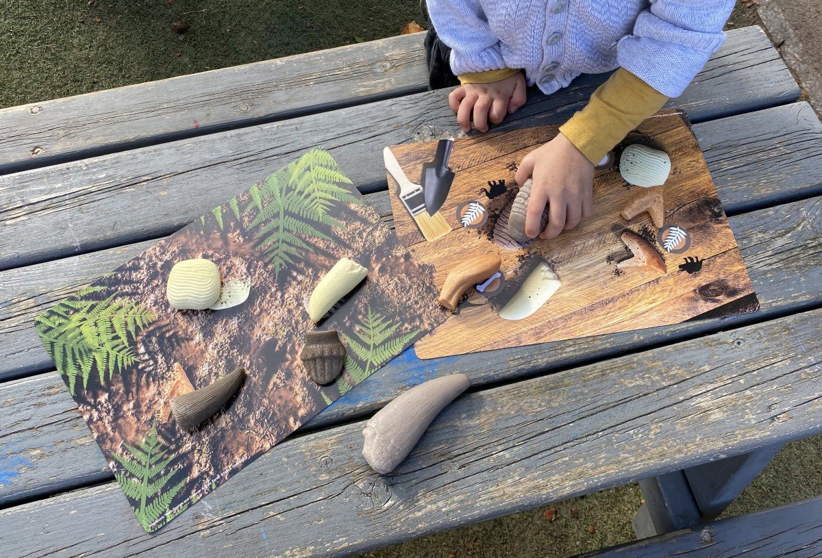 Yellow Door Prehistoric Teeth Explore and Discover Activity Cards (16) - Little Whispers