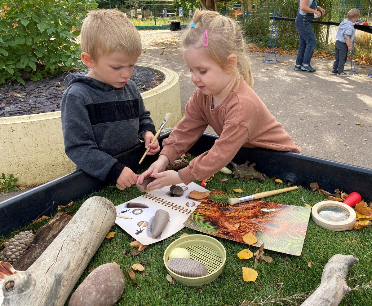 Yellow Door Prehistoric Teeth Explore and Discover Activity Cards (16) - Little Whispers