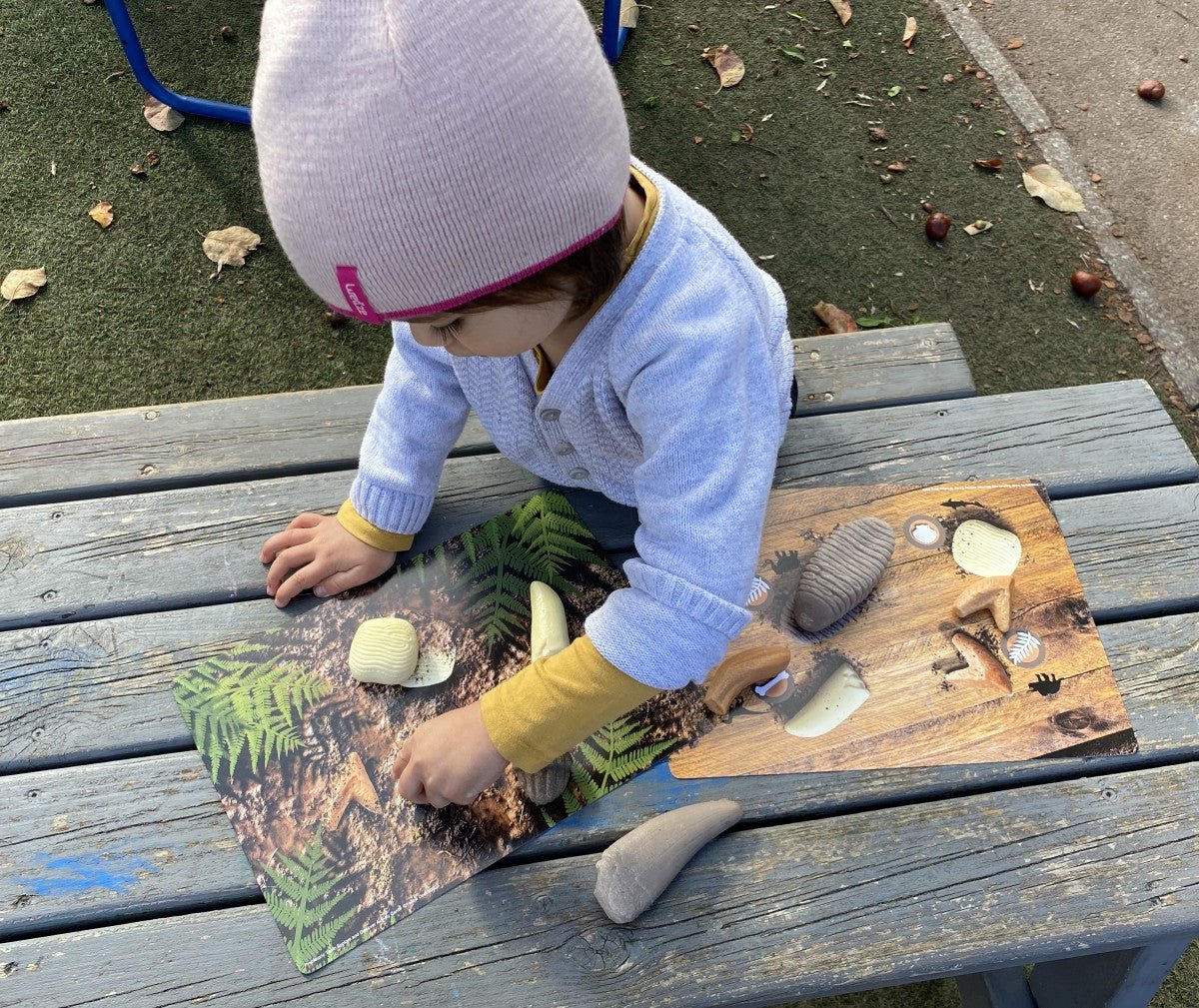 Yellow Door Prehistoric Teeth Explore and Discover Activity Cards (16) - Little Whispers