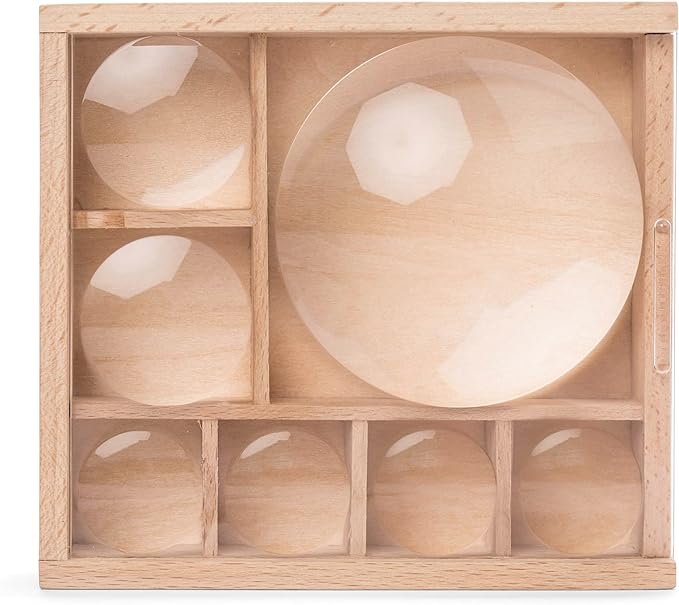 Huckleberry My Little Museum Bug Observation (Coming Soon) - Little Whispers