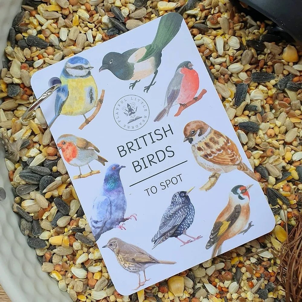 British Birds flashcards PLR - Little Whispers