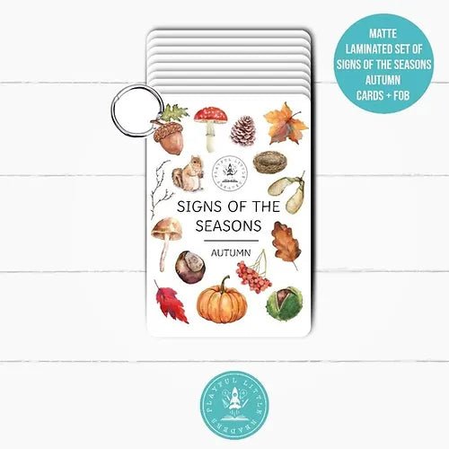 PLR Flash Cards, Autumn Signs - Explorer - Little Whispers