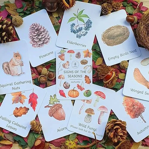 PLR Flash Cards, Autumn Signs - Explorer - Little Whispers