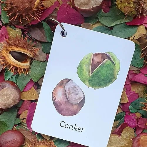 PLR Flash Cards, Autumn Signs - Explorer - Little Whispers