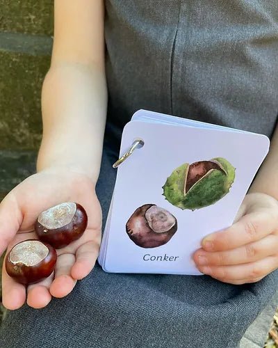 PLR Flash Cards, Autumn Signs - Explorer - Little Whispers