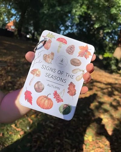 PLR Flash Cards, Autumn Signs - Explorer - Little Whispers