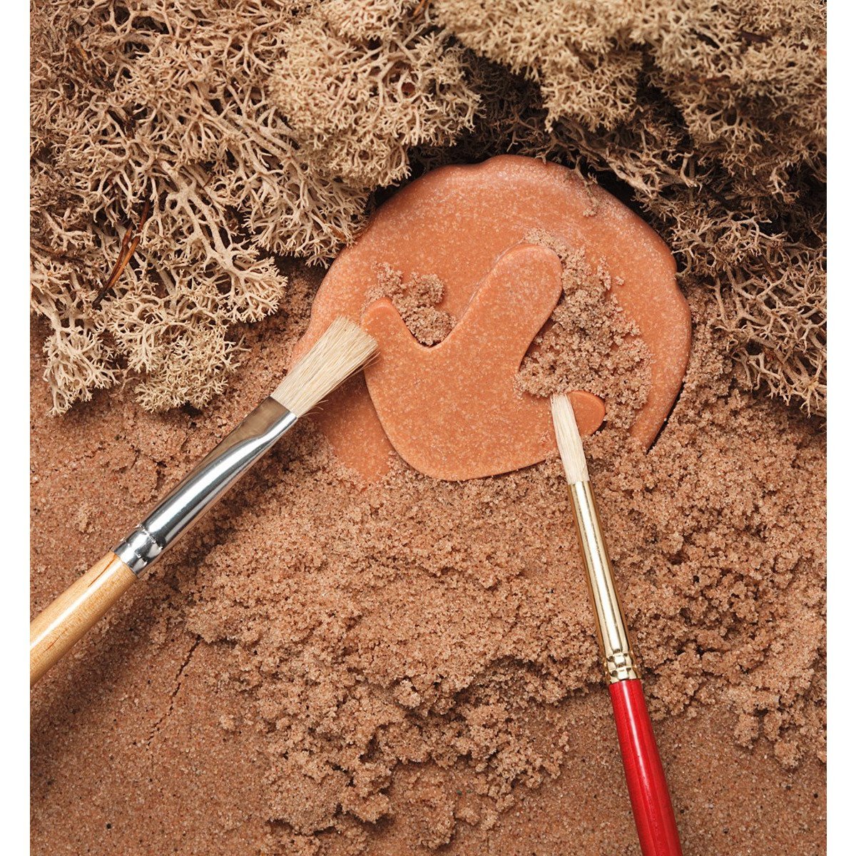 Yellow Door Dinosaur Footprint Stones - Little Whispers