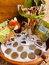 Woodland Sounds Board Book