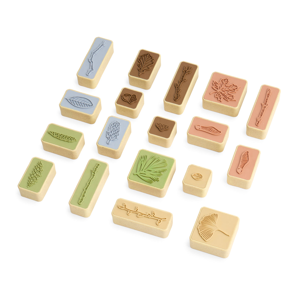 Guidecraft Branches & Leaves Stamps 18 pc set