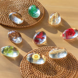 Specimen Stones: Plants