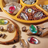 Specimen Stones: Plants