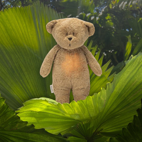 Moonie 2.0 Cappuccino Nature Bear - The Organic Hummy Bear with Lamp - Little Whispers