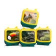 PRE - ORDER: Pocket Tonie Animal World: Wildlife in the Woods Audio Clever Pocket Tonie Set - Little Whispers