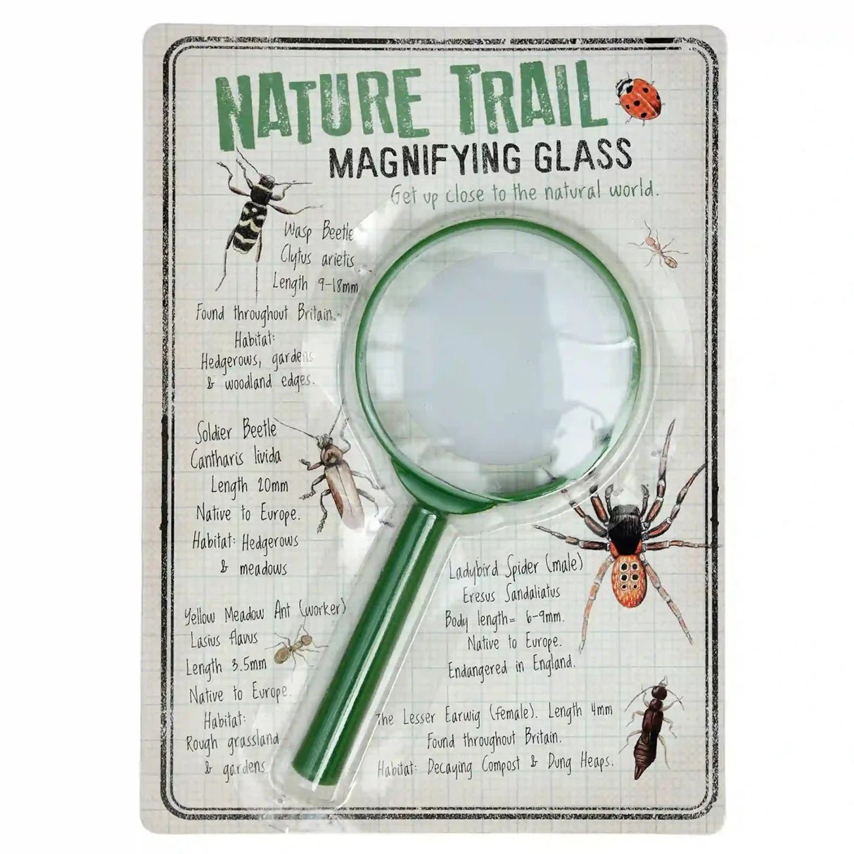 Wild in the Woods Story Sack with Bug Spotter Kit and Magnifying Glass - Little Whispers