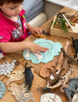 Yellow Door Dinosaur Bones Match and Measure Activity Cards