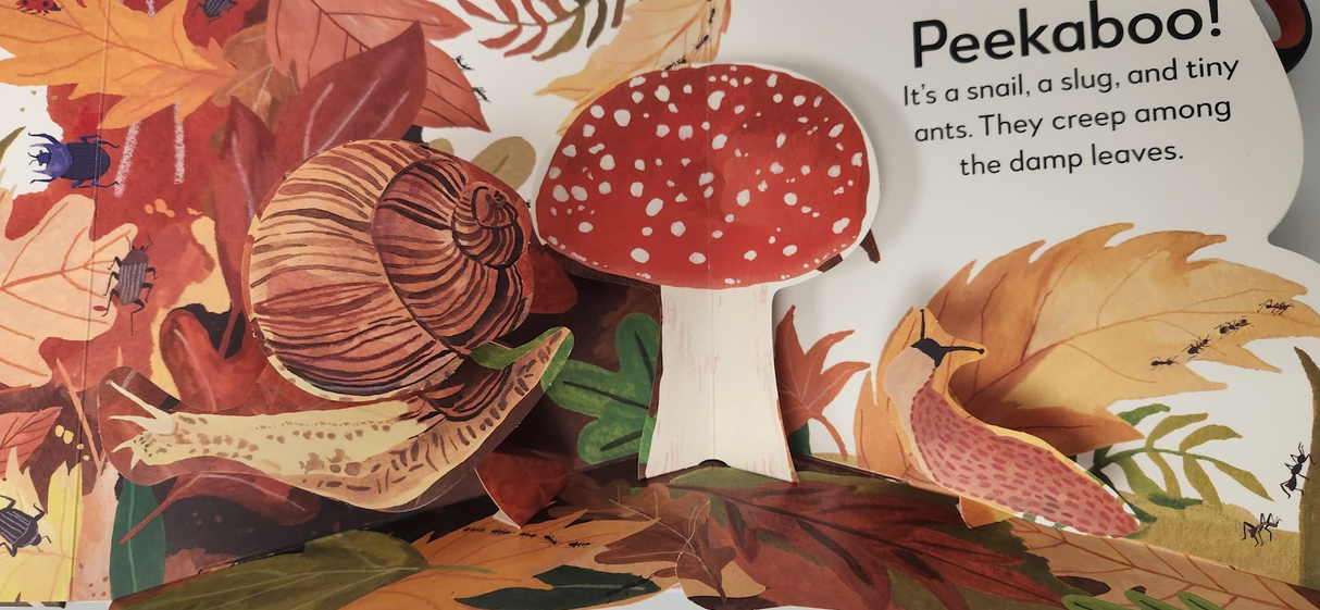 Pop-Up Peekaboo Forest Board Book