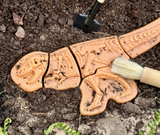 Dig & Discover – Ankylosaurus & Tyrannosaurus rex