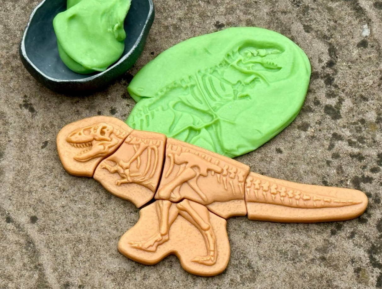 Dig & Discover – Ankylosaurus & Tyrannosaurus rex