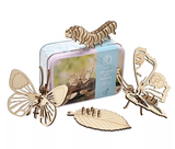 Apples To Pears Gift In A Tin Life Cycle of A Butterfly