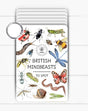 Minibeasts Flash Cards 
