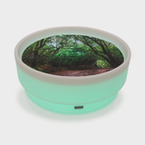 Discovery Glow Low Table + Forest Discovery Play Mat (Direct Shipping)