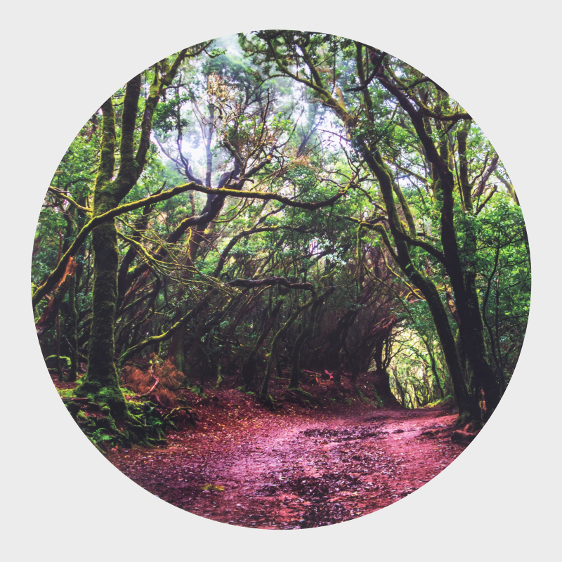Discovery Glow Low Table + Forest Discovery Play Mat (Direct Shipping)