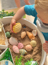 Yellow Door SeaShells Sensory Play Stones
