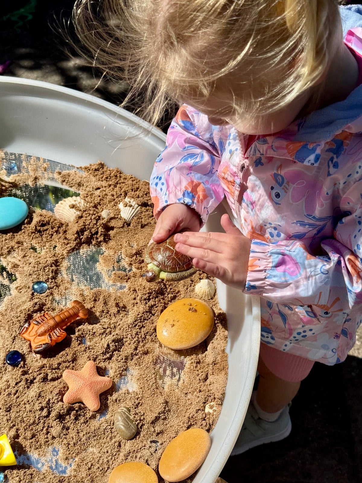 Yellow Door Ocean Life Sensory Play Stones
