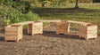 Cosy Switch Seat Angled Planter (Direct Shipping Item) - Little Whispers